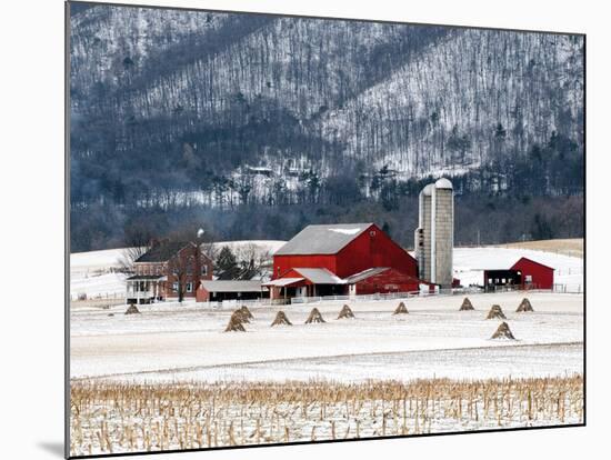 Winter Farm-Bill Coleman-Mounted Giclee Print