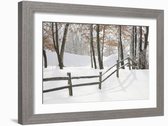 Winter Fence & Shadow, Farmington Hills, Michigan ‘09-Monte Nagler-Framed Photographic Print