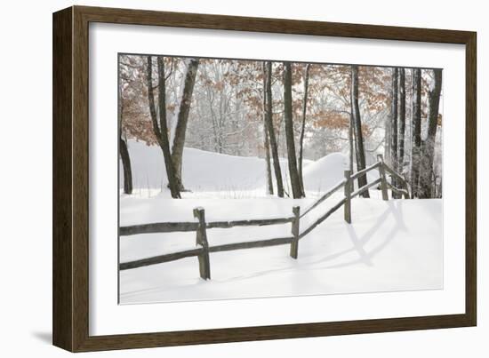 Winter Fence & Shadow, Farmington Hills, Michigan ‘09-Monte Nagler-Framed Photographic Print