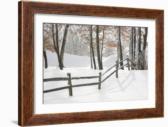 Winter Fence & Shadow, Farmington Hills, Michigan ‘09-Monte Nagler-Framed Photographic Print