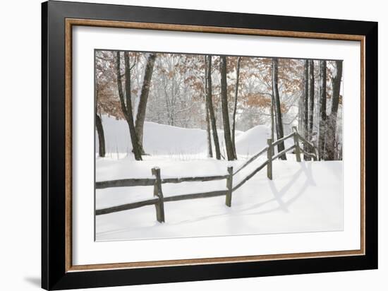 Winter Fence & Shadow, Farmington Hills, Michigan ‘09-Monte Nagler-Framed Photographic Print