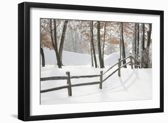 Winter Fence & Shadow, Farmington Hills, Michigan ‘09-Monte Nagler-Framed Photographic Print