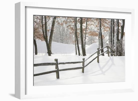 Winter Fence & Shadow, Farmington Hills, Michigan ‘09-Monte Nagler-Framed Photographic Print