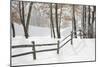 Winter Fence & Shadow, Farmington Hills, Michigan ‘09-Monte Nagler-Mounted Photographic Print