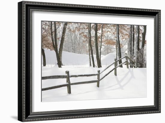 Winter Fence & Shadow, Farmington Hills, Michigan ‘09-Monte Nagler-Framed Photographic Print