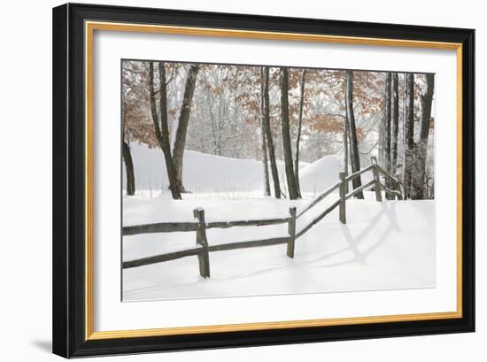 Winter Fence & Shadow, Farmington Hills, Michigan ‘09-Monte Nagler-Framed Photographic Print