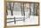 Winter Fence & Shadow, Farmington Hills, Michigan ‘09-Monte Nagler-Framed Premier Image Canvas