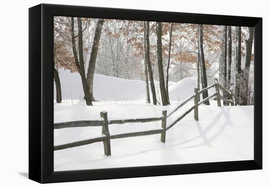 Winter Fence & Shadow, Farmington Hills, Michigan ‘09-Monte Nagler-Framed Premier Image Canvas