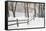 Winter Fence & Shadow, Farmington Hills, Michigan ‘09-Monte Nagler-Framed Premier Image Canvas
