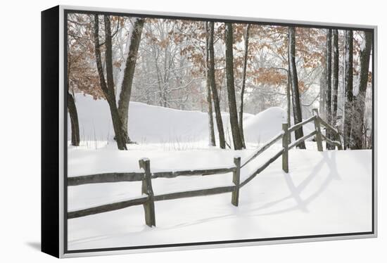 Winter Fence & Shadow, Farmington Hills, Michigan ‘09-Monte Nagler-Framed Premier Image Canvas