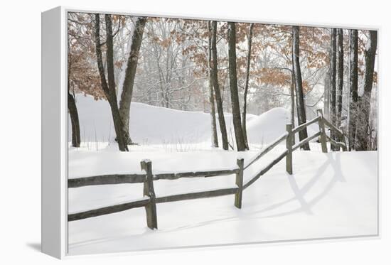 Winter Fence & Shadow, Farmington Hills, Michigan ‘09-Monte Nagler-Framed Premier Image Canvas