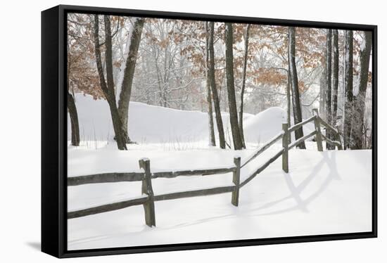 Winter Fence & Shadow, Farmington Hills, Michigan ‘09-Monte Nagler-Framed Stretched Canvas