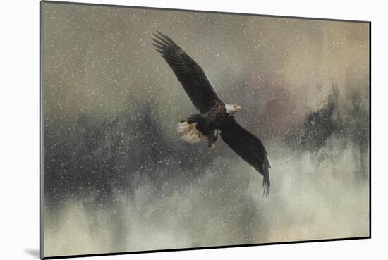 Winter Flight-Jai Johnson-Mounted Giclee Print