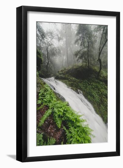 Winter Flow at Cataract Falls, Marin County Waterfall, Bay Area, California-Vincent James-Framed Photographic Print
