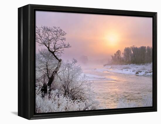 Winter Fog at Sunrise over Gallatin River Near Manhattan, Montana-John Lambing-Framed Premier Image Canvas