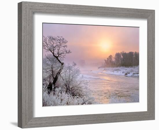 Winter Fog at Sunrise over Gallatin River Near Manhattan, Montana-John Lambing-Framed Photographic Print