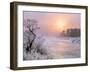 Winter Fog at Sunrise over Gallatin River Near Manhattan, Montana-John Lambing-Framed Photographic Print