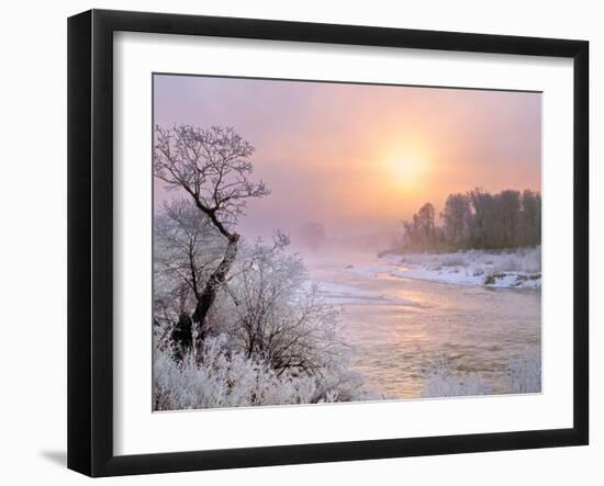 Winter Fog at Sunrise over Gallatin River Near Manhattan, Montana-John Lambing-Framed Photographic Print