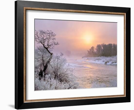 Winter Fog at Sunrise over Gallatin River Near Manhattan, Montana-John Lambing-Framed Photographic Print