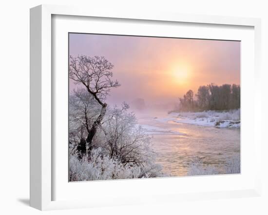 Winter Fog at Sunrise over Gallatin River Near Manhattan, Montana-John Lambing-Framed Photographic Print