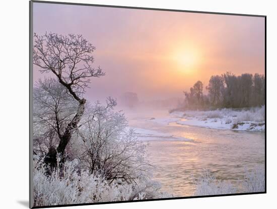 Winter Fog at Sunrise over Gallatin River Near Manhattan, Montana-John Lambing-Mounted Photographic Print