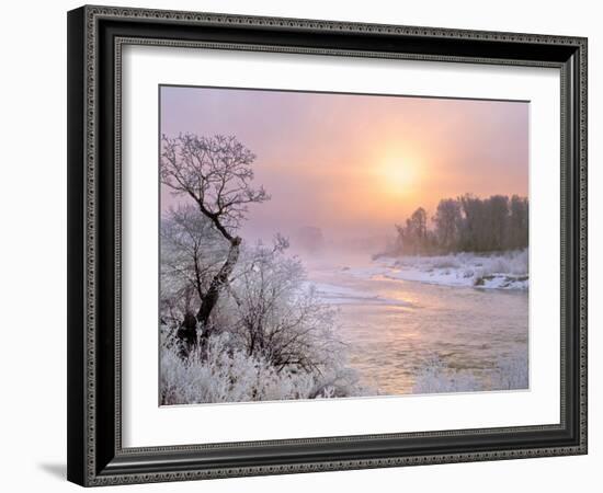 Winter Fog at Sunrise over Gallatin River Near Manhattan, Montana-John Lambing-Framed Photographic Print