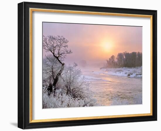 Winter Fog at Sunrise over Gallatin River Near Manhattan, Montana-John Lambing-Framed Photographic Print