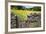 Winter Food for Stock Sign on Gate in Meadow at Muker-Mark Sunderland-Framed Photographic Print