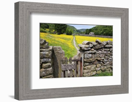 Winter Food for Stock Sign on Gate in Meadow at Muker-Mark Sunderland-Framed Photographic Print