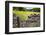 Winter Food for Stock Sign on Gate in Meadow at Muker-Mark Sunderland-Framed Photographic Print