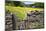 Winter Food for Stock Sign on Gate in Meadow at Muker-Mark Sunderland-Mounted Photographic Print