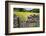 Winter Food for Stock Sign on Gate in Meadow at Muker-Mark Sunderland-Framed Photographic Print