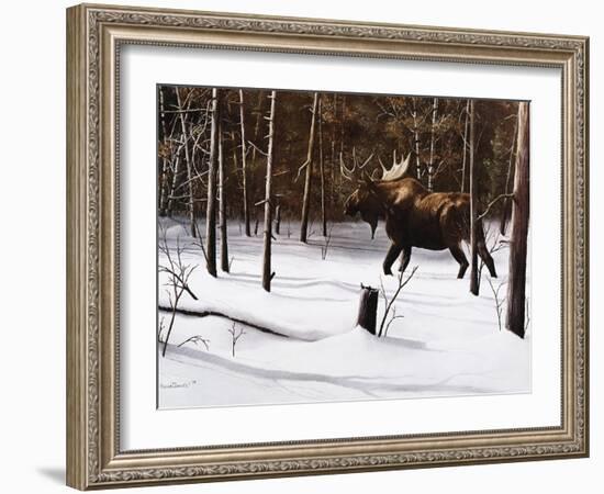 Winter Forage-Kevin Daniel-Framed Art Print