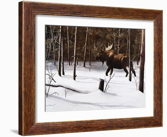 Winter Forage-Kevin Daniel-Framed Art Print