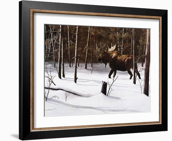 Winter Forage-Kevin Daniel-Framed Art Print