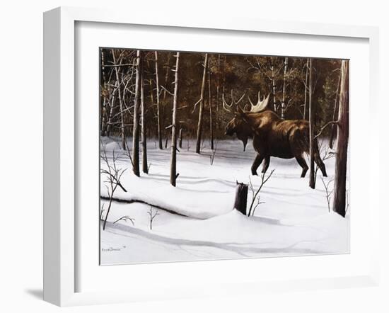 Winter Forage-Kevin Daniel-Framed Art Print