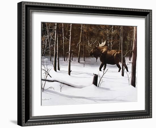 Winter Forage-Kevin Daniel-Framed Art Print