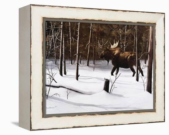 Winter Forage-Kevin Daniel-Framed Stretched Canvas