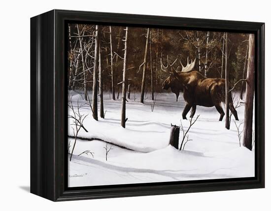 Winter Forage-Kevin Daniel-Framed Stretched Canvas