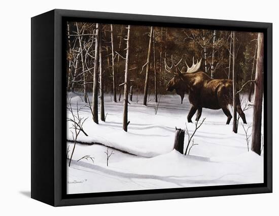 Winter Forage-Kevin Daniel-Framed Stretched Canvas