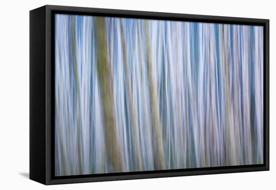 Winter Forest Abstract I-Kathy Mahan-Framed Premier Image Canvas