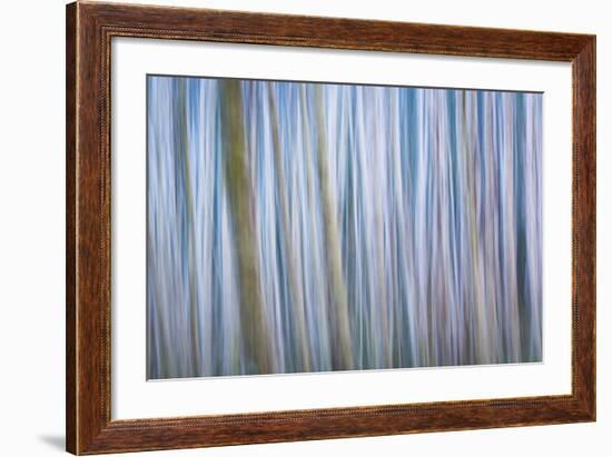 Winter Forest Abstract I-Kathy Mahan-Framed Photographic Print