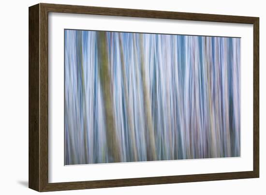 Winter Forest Abstract I-Kathy Mahan-Framed Photographic Print