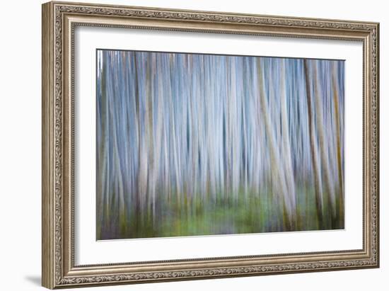 Winter Forest Abstract II-Kathy Mahan-Framed Photographic Print