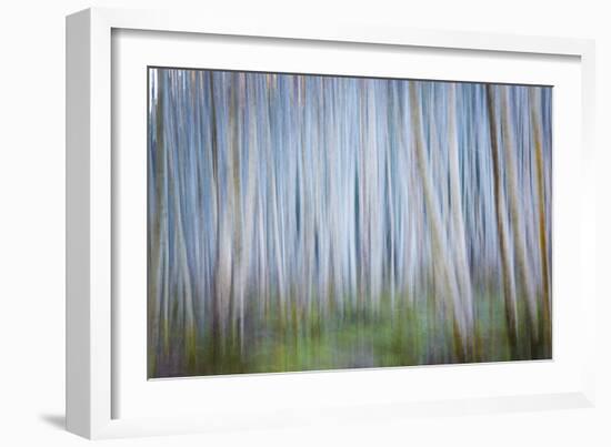 Winter Forest Abstract II-Kathy Mahan-Framed Photographic Print