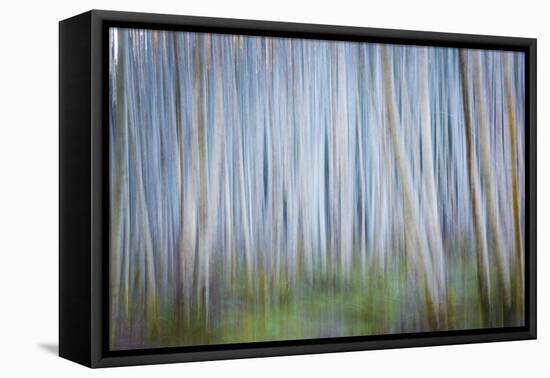 Winter Forest Abstract II-Kathy Mahan-Framed Premier Image Canvas