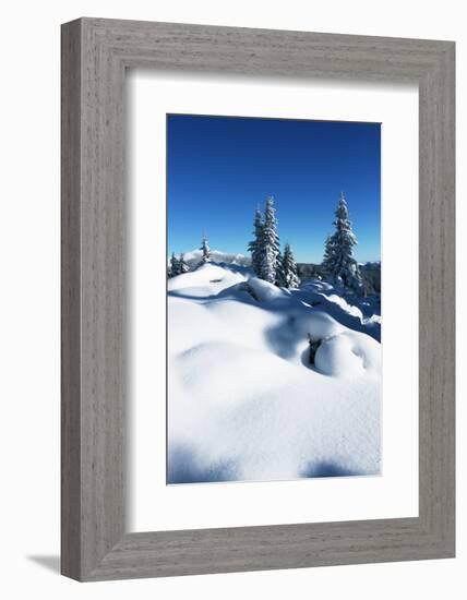 Winter Forest in Mountains-Andrushko Galyna-Framed Photographic Print