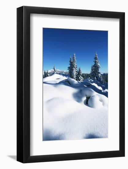 Winter Forest in Mountains-Andrushko Galyna-Framed Photographic Print