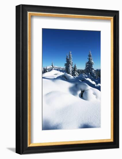 Winter Forest in Mountains-Andrushko Galyna-Framed Photographic Print