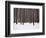 Winter Forest in Snow, Moscow, Russia-Ivan Vdovin-Framed Photographic Print